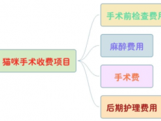 公猫绝育要多少钱（收费项目有哪些）