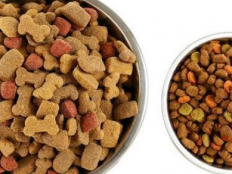 天然狗粮和商品狗粮的区别(如何区分商品粮和天然粮)