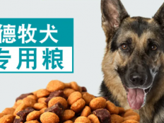 德国牧羊犬吃什么狗粮(如何挑选)